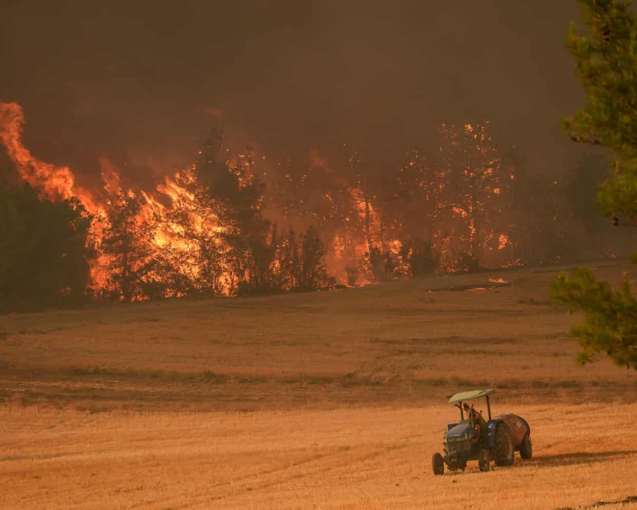Лесные пожары в Турции могут повлиять на туристический поток из Казахстана