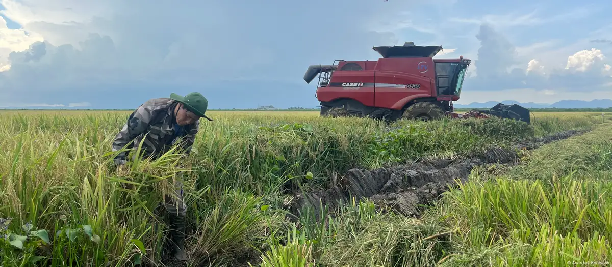 Опыт Кубы по аренде земли иностранным инвесторам: уроки для Казахстана